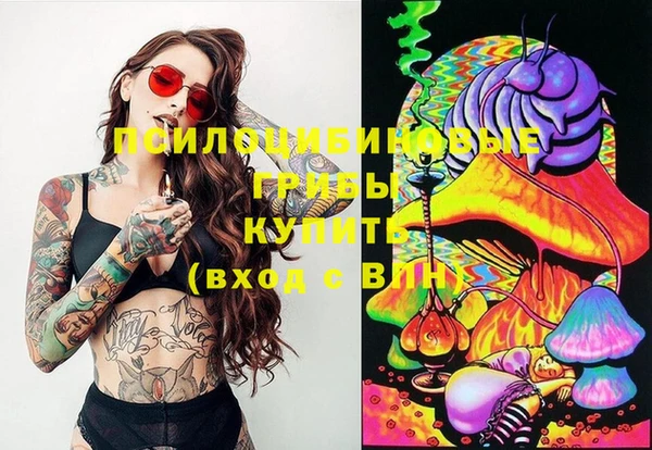 круглые Вязьма