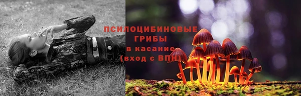 кокаин премиум Вяземский