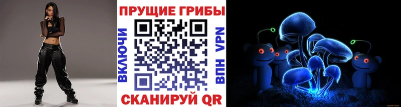 площадка клад  Нижнекамск  Псилоцибиновые грибы Magic Shrooms 